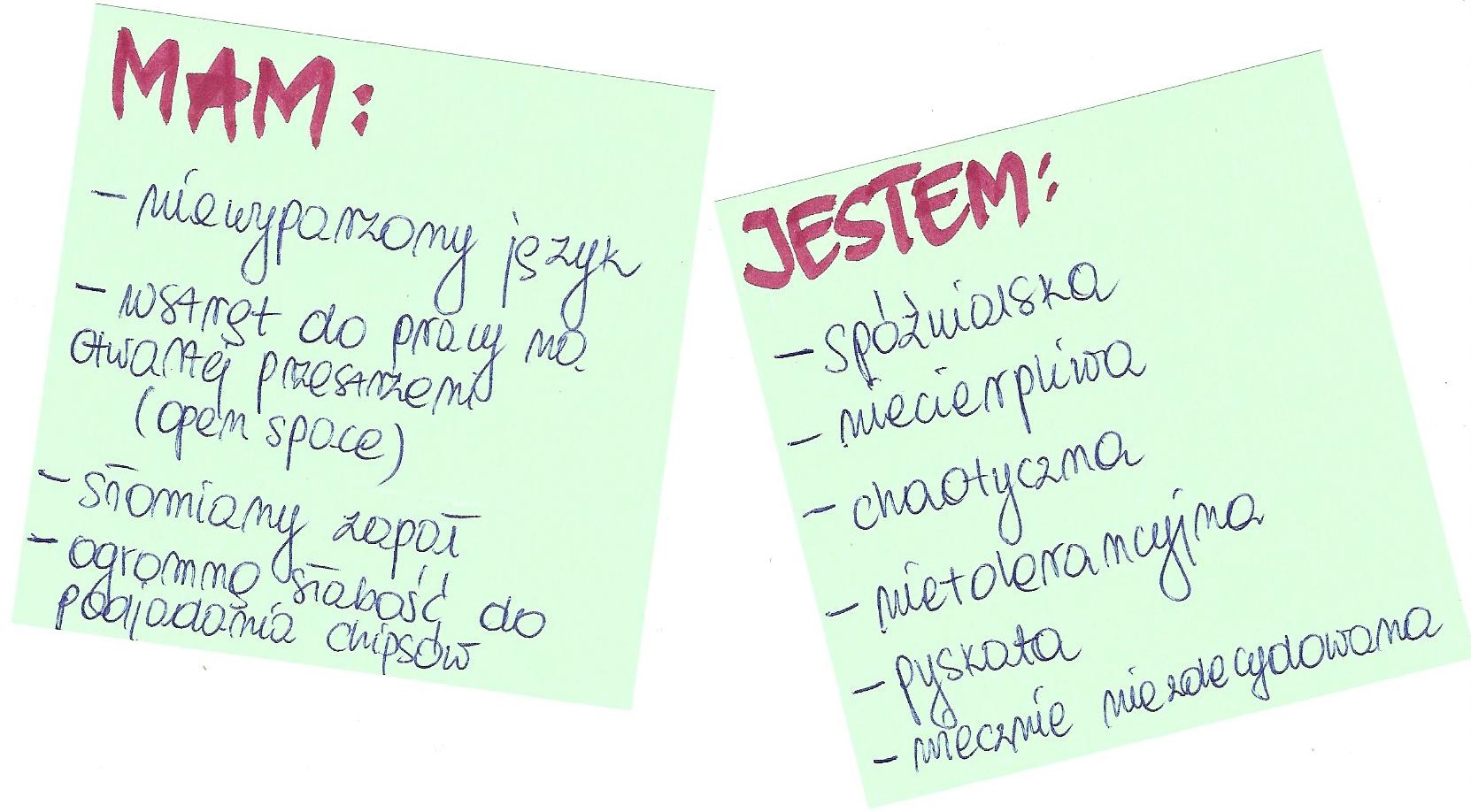 Jak mówić o swoich wadach podczas rozmowy kwalifikacyjnej? 3 Jak mowic o swoich wadach blog csipz