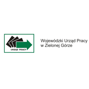 Anna Płoska - mentorka doradców zawodowych 27 centrum szkolen promocji zatrudnienia wspolprace 17