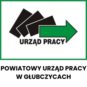 Anna Płoska - mentorka doradców zawodowych 28 centrum szkolen promocji zatrudnienia wspolprace 2